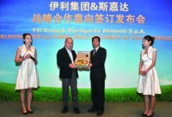 伊利最新爆料新闻联播,携手新闻联播，共筑品牌新篇章